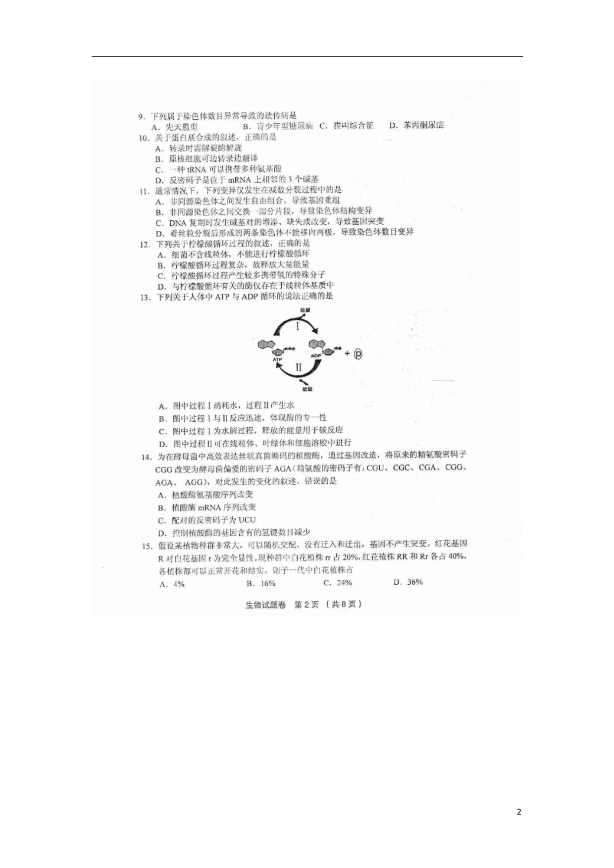 浙江金丽衢十二校高三生物第一次联考选考科目考试1.doc_第2页