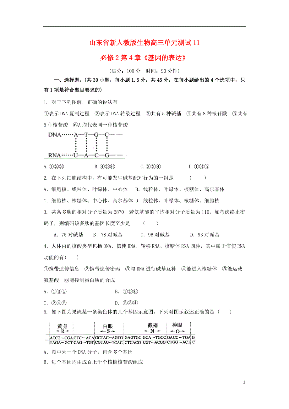 山东高三生物单元测试11第4章基因的表达必修2.doc_第1页