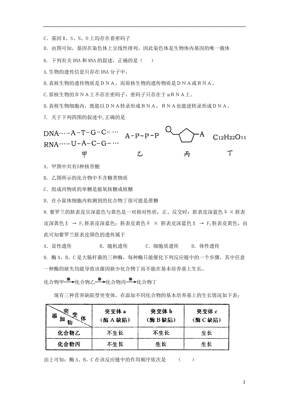 山东高三生物单元测试11第4章基因的表达必修2.doc_第2页