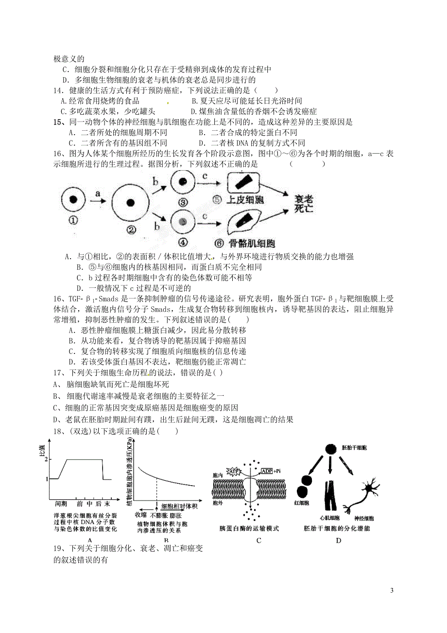 山东高密第三中学高中生物第6章第34节细胞的衰老凋亡和癌变学案2必修1.doc_第3页