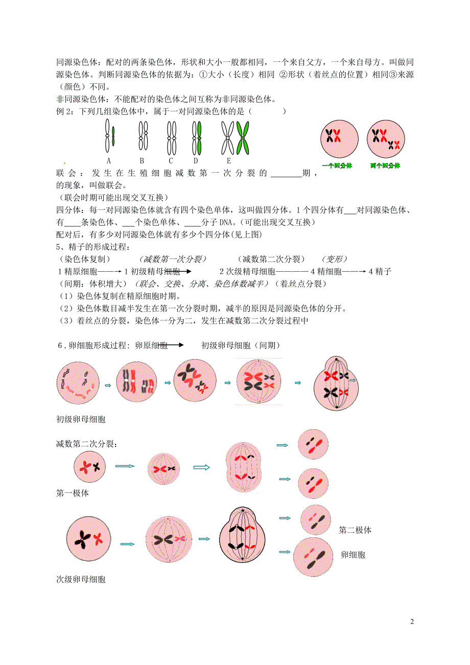 广西玉林容高级中学高中生物2.1减数分裂练习必修21.doc_第2页