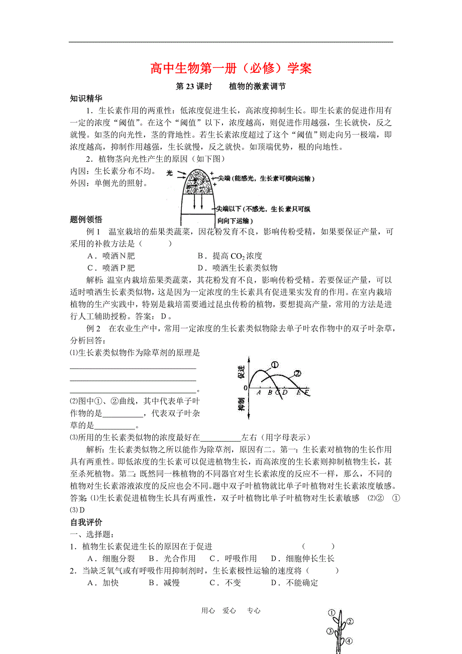 高中生物第一册学案：植物的激素调节.doc_第1页