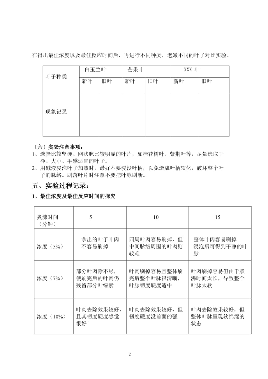 《叶脉书签的制作》_第3页