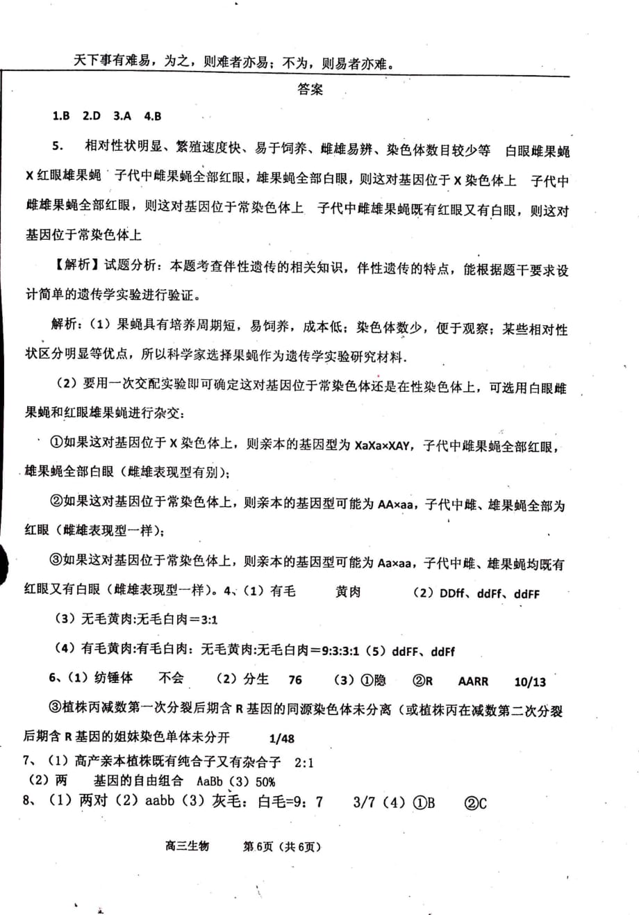 河北衡水中学高三生物一轮复习1.2杂交实验二2自助学案pdf 1.pdf_第3页