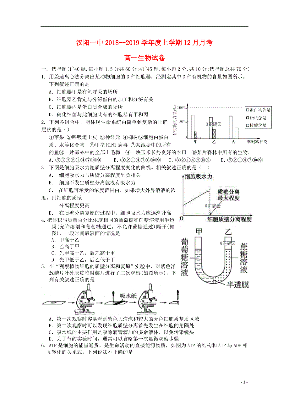 湖北高一生物月考 1.doc_第1页