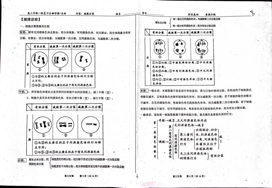 河北衡水中学高三生物一轮复习2.1减数分裂和受精作用学案自助pdf 1.pdf_第3页