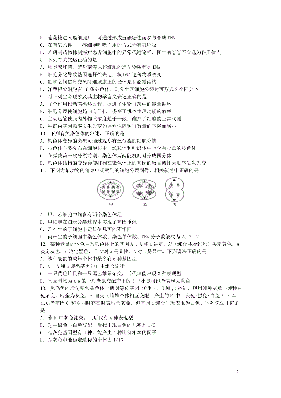 江苏2020高三生物考试1.doc_第2页