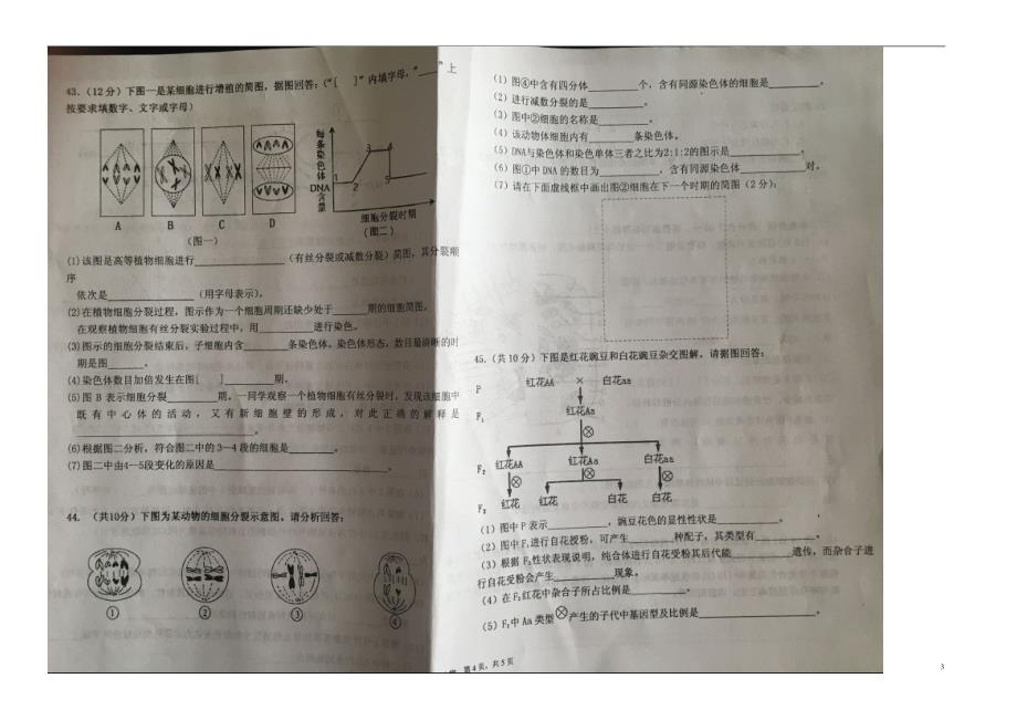 宁夏六盘山高级中学高二生物第二次月考2.doc_第3页