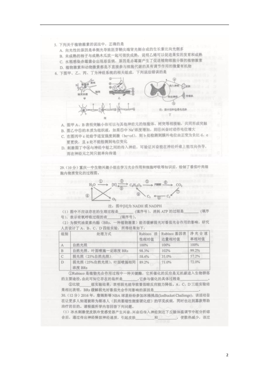 重庆高三生物模拟考试定时作业1.doc_第2页