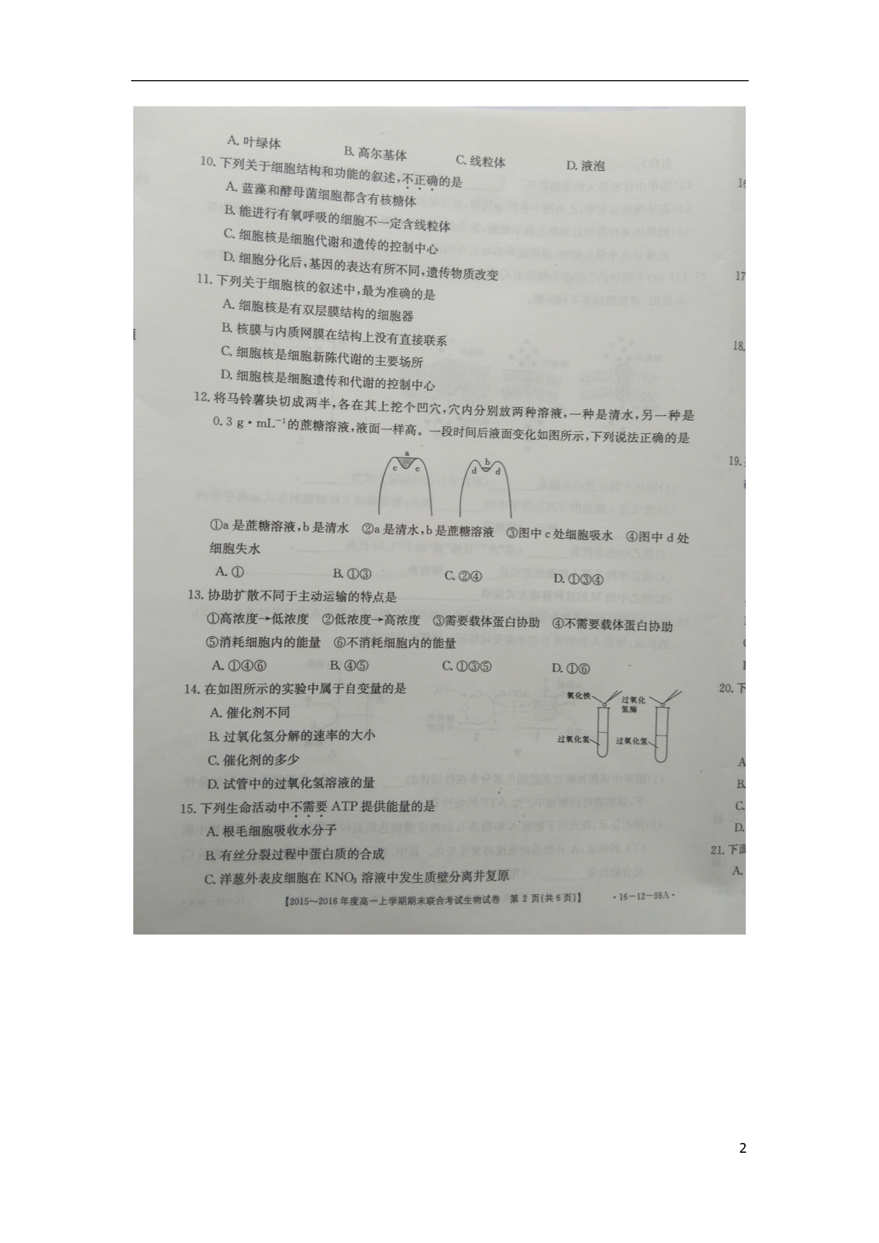 山西晋中高一生物期末考试.doc_第2页