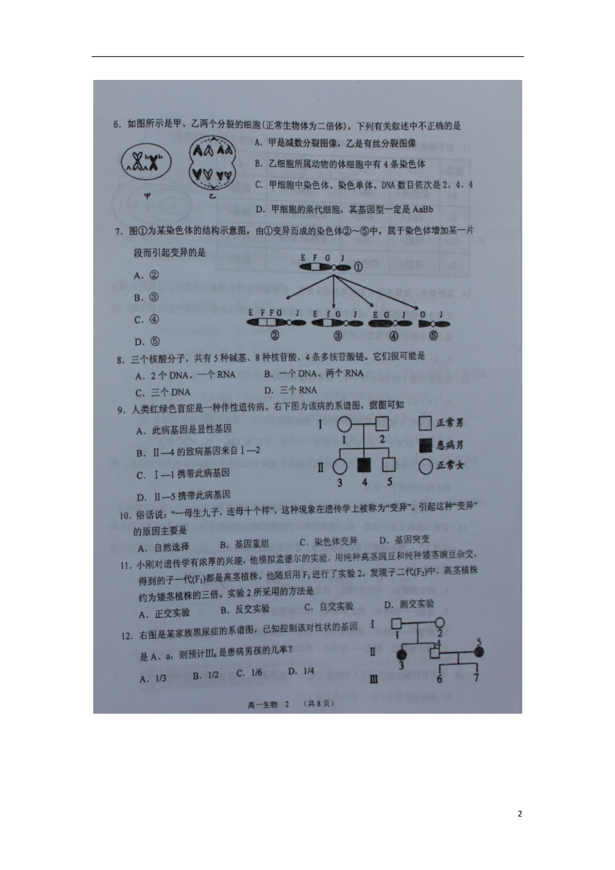 山西怀仁第一中学高一生物期末考试1.doc_第2页