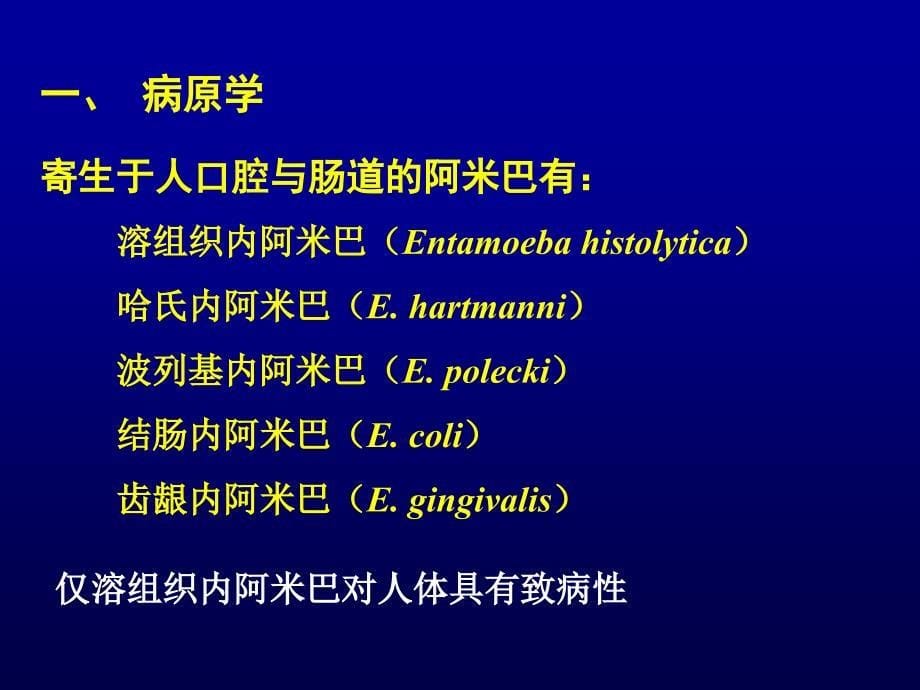 没有幻灯片标题---香港六合彩073期资料073期开奖结果知识讲解_第5页