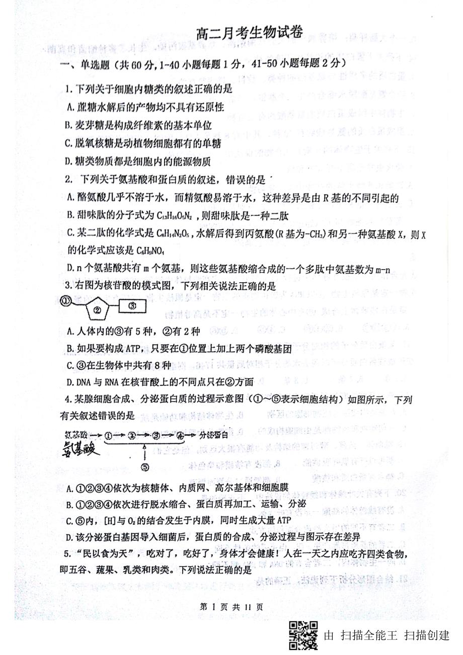 河北石家庄高二生物五月月考PDF 1.pdf_第1页