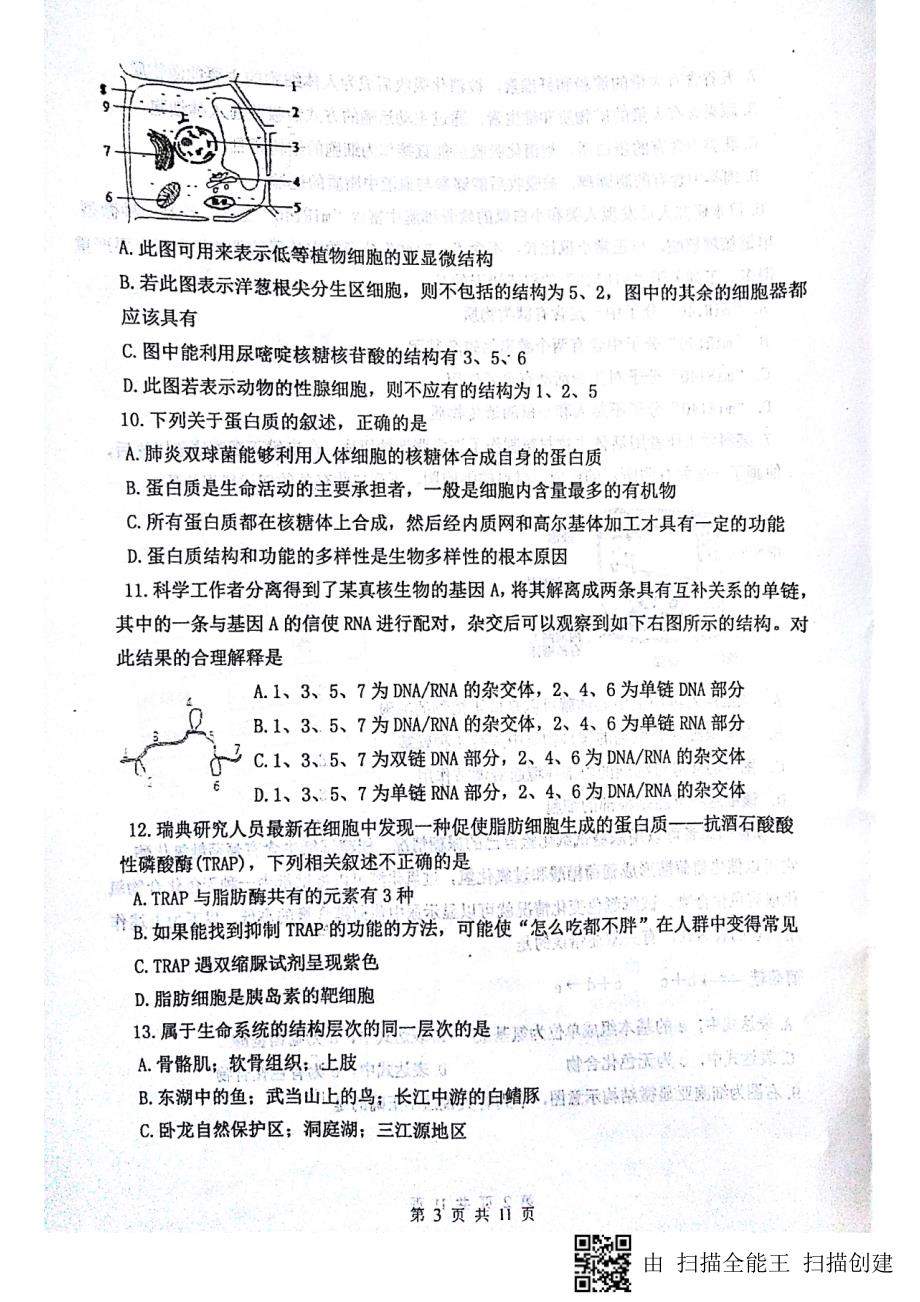 河北石家庄高二生物五月月考PDF 1.pdf_第3页