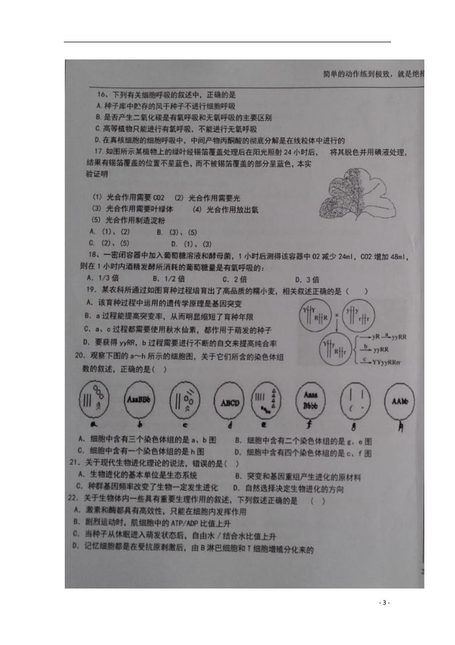 宁夏中卫市2018届高三生物上学期第二次月考试题（扫描版无答案） (1).doc_第3页