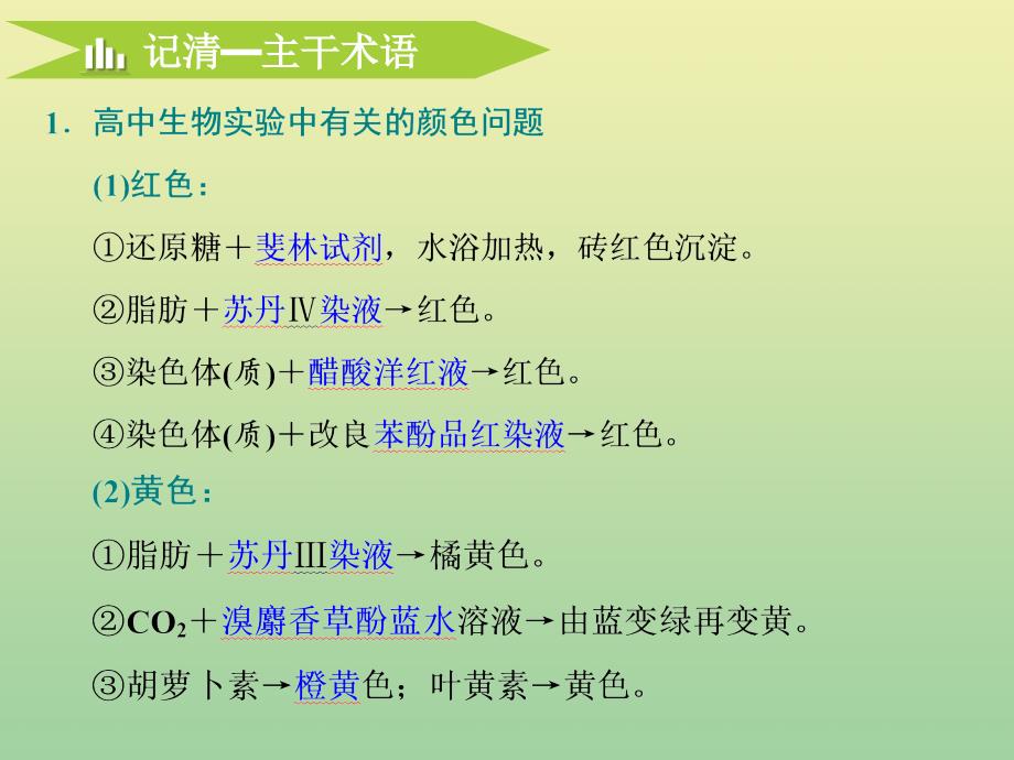 2020高考生物二轮复习第一部分22个常考点专攻六实验 1.ppt_第4页