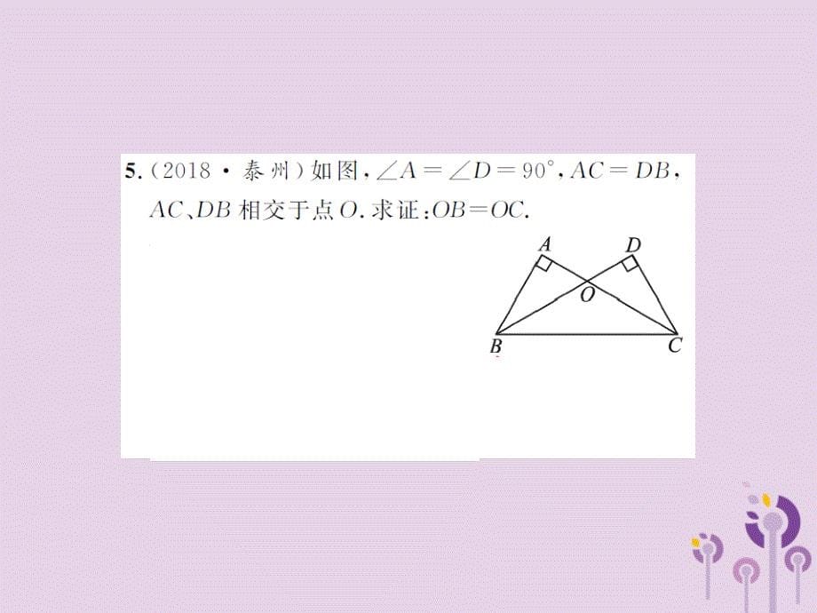 中考数学总复习第四章图形的初步认识与三角形第四节全等三角形课件_第5页