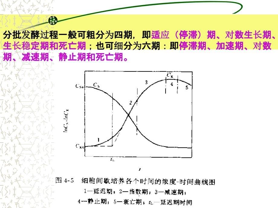 第七章发酵工艺控制ppt课件_第5页