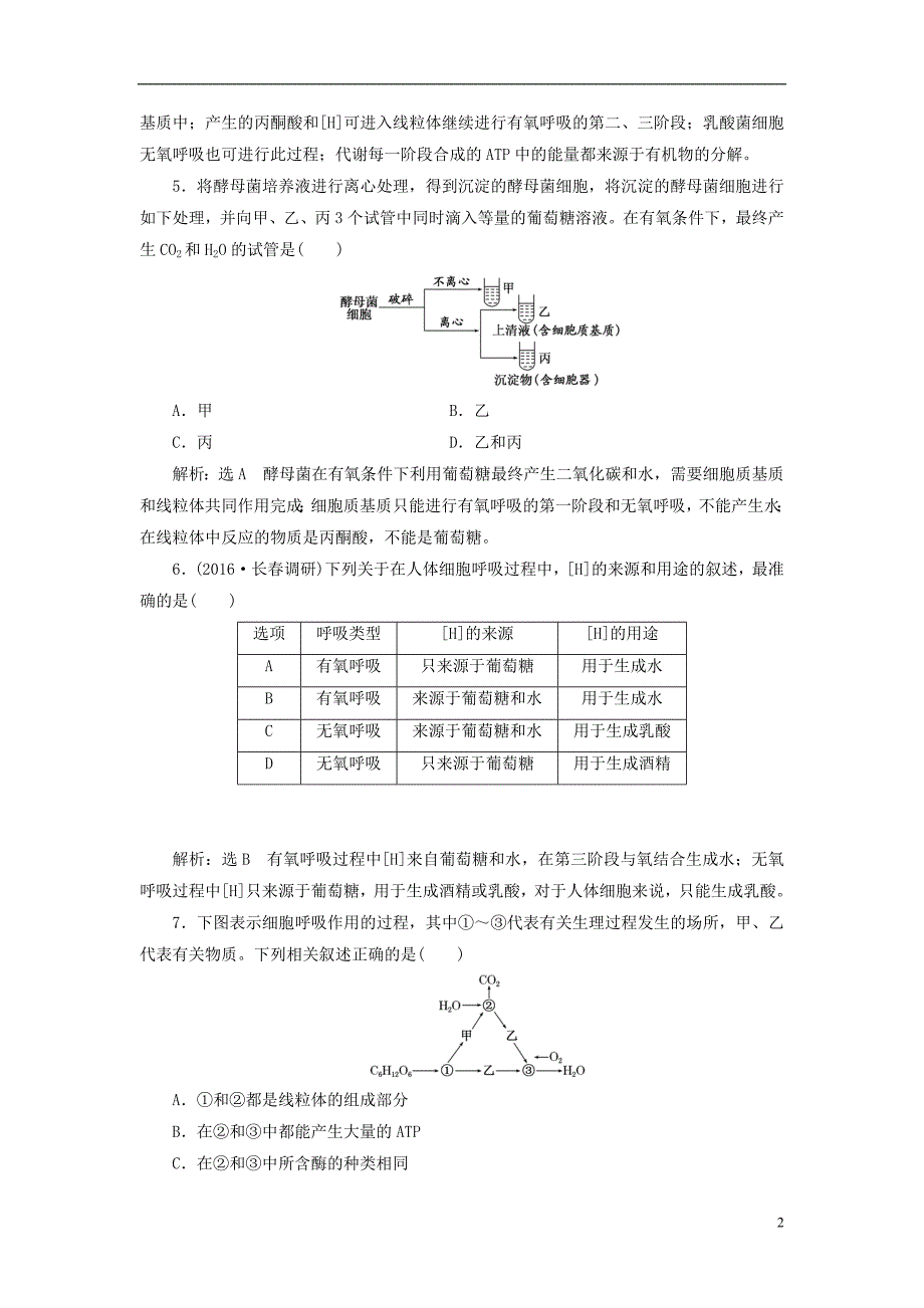 高三生物一轮复习课时跟踪检测九第三单元细胞的能量供应和利用第二讲ATP与细胞呼吸第1课时ATP细胞呼吸的类型和过程必修1.doc_第2页