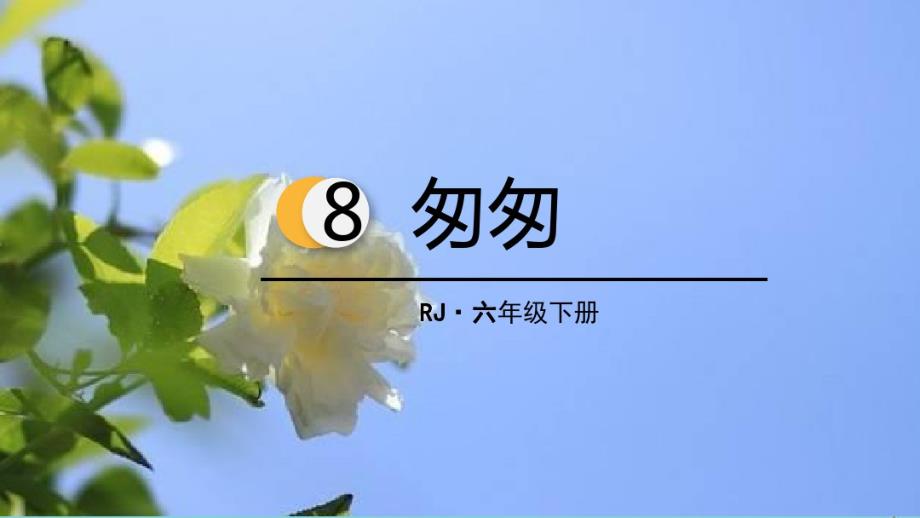 2020春六年级语文下册第三单元8匆匆教学课件新人教版.pdf_第2页