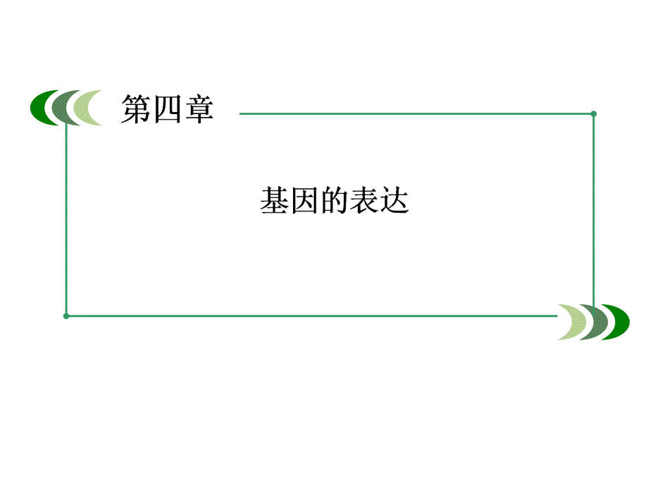 2014高一生物（人教版）必修2课件：4-2 基因对性状的控制（四月）_第2页