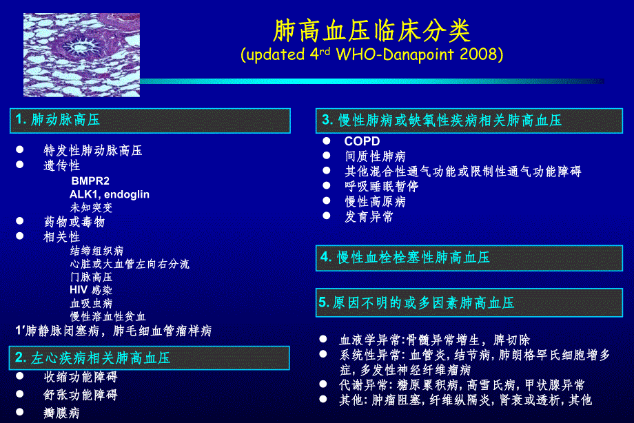 肺动脉高压流行病学和我国PAH资料分析ppt课件_第3页