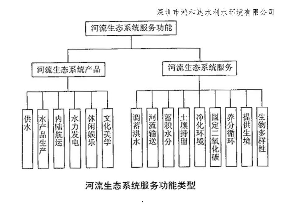 河流的近自然修复技术ppt课件_第5页