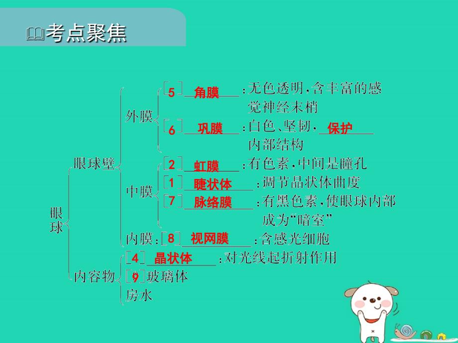 PK中考江西专用中考生物五四人体通过神经系统和内分泌系统调节生命活动习题课件_第3页