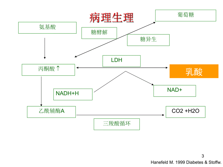 乳酸酸中毒PPT参考课件_第3页