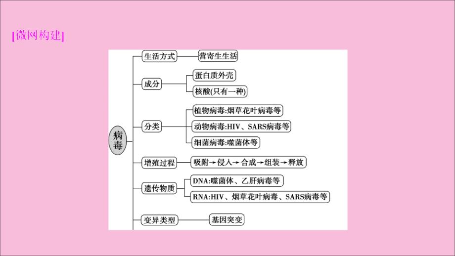 新高考2020高考生物二轮复习第二部分高分冲刺方略策略一热考素材热主题1病毒.ppt_第2页