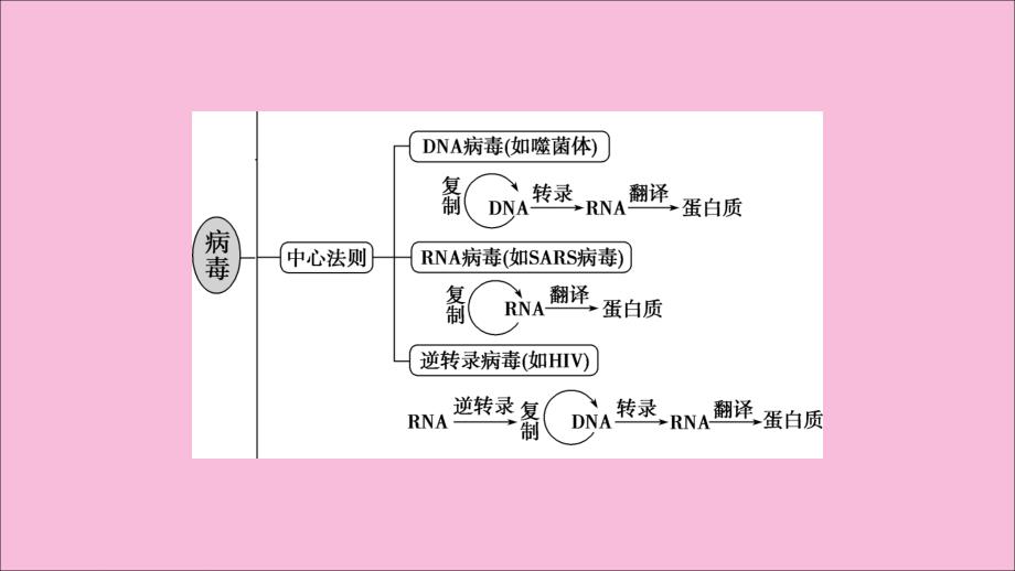 新高考2020高考生物二轮复习第二部分高分冲刺方略策略一热考素材热主题1病毒.ppt_第3页