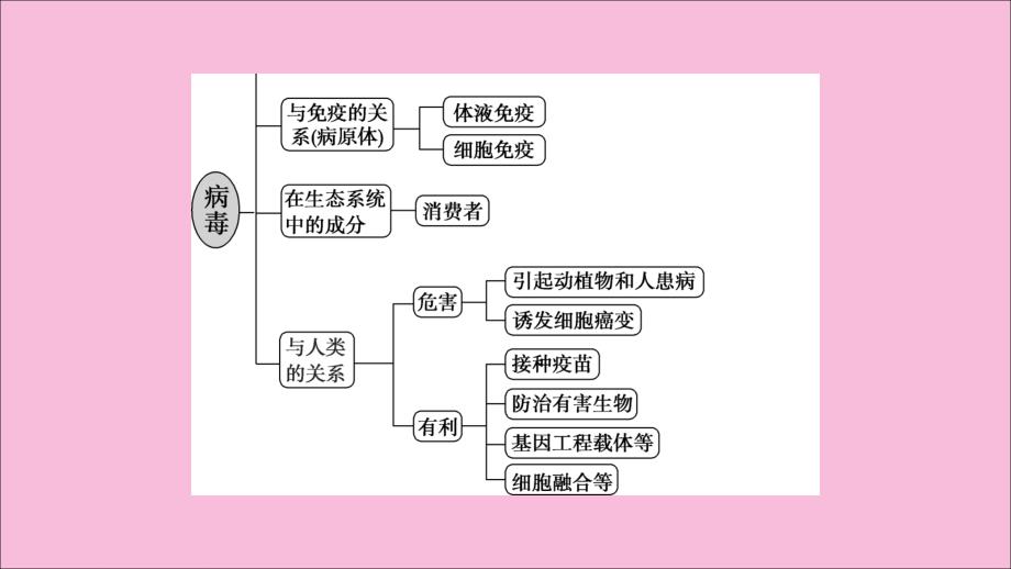 新高考2020高考生物二轮复习第二部分高分冲刺方略策略一热考素材热主题1病毒.ppt_第4页