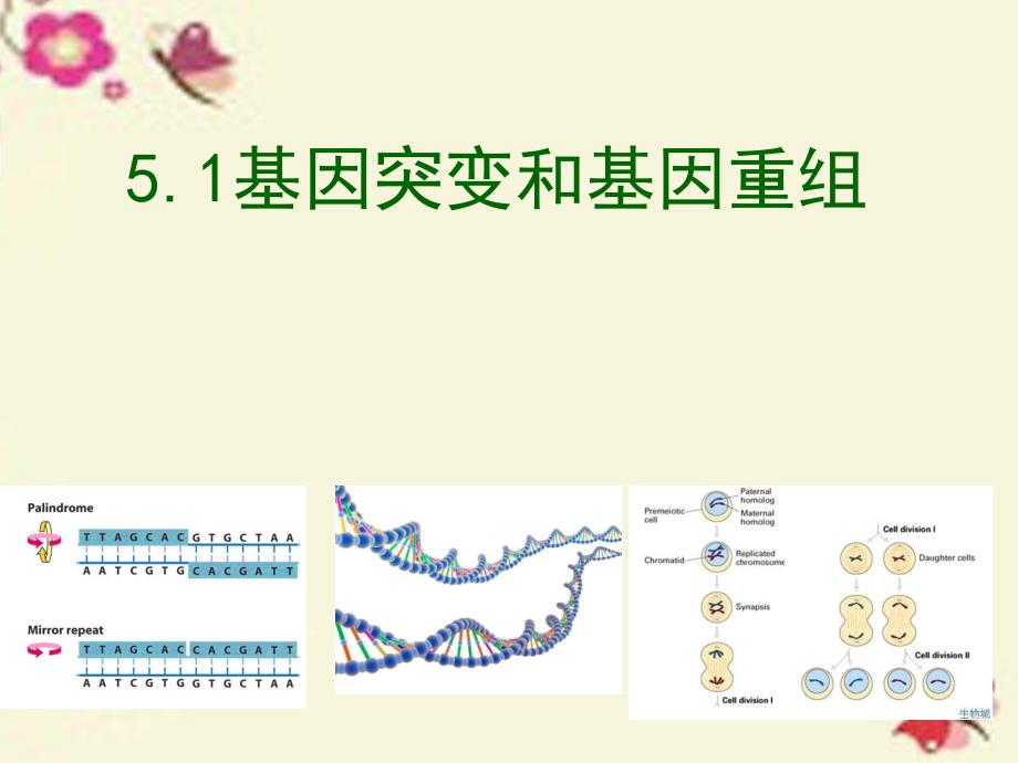 山东淄博淄川般阳中学高中生物第五章第一节基因突变和重组2必修2 1.ppt_第1页