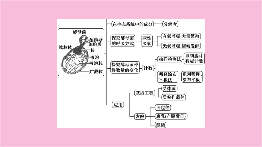 新高考2020高考生物二轮复习第二部分高分冲刺方略策略一热考素材热主题3酵母菌.ppt_第3页