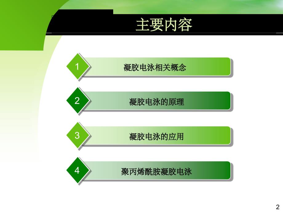 凝胶电泳及其应用ppt课件_第2页