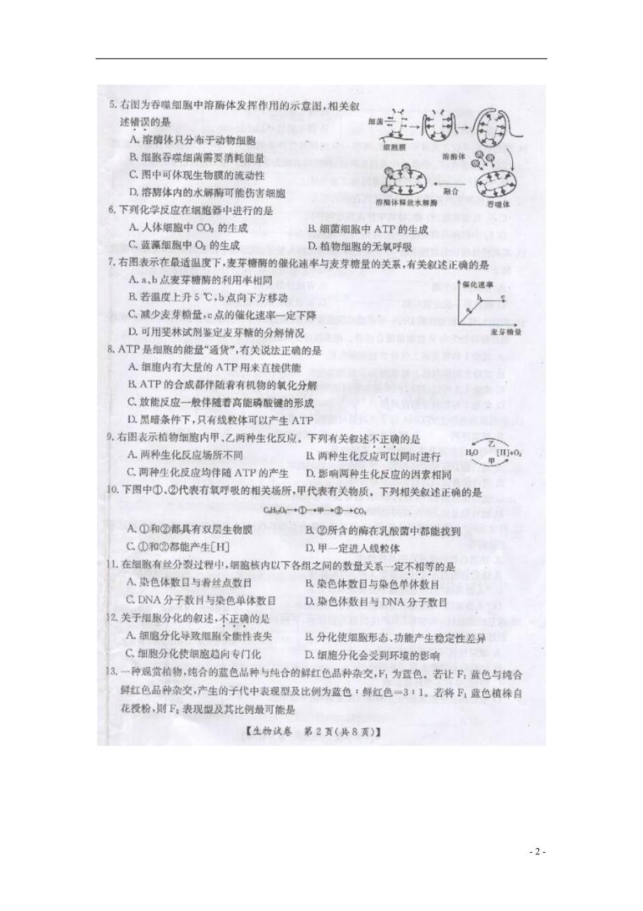 山西高三生物诊断性考试.doc_第2页