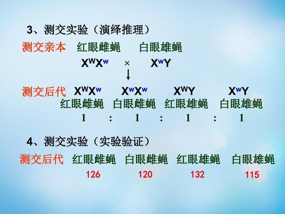 四川乐山外国语学校高中生物2.22.3基因在染色体上、伴性遗传必修2.ppt_第5页