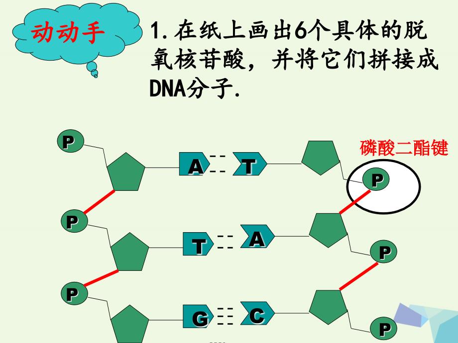 四川古蔺高中生物第三章基因的本质3.2DNA的分子结构第1课时必修2.ppt_第3页