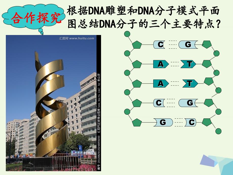 四川古蔺高中生物第三章基因的本质3.2DNA的分子结构第1课时必修2.ppt_第4页