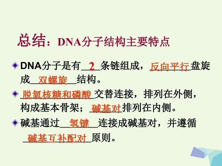 四川古蔺高中生物第三章基因的本质3.2DNA的分子结构第1课时必修2.ppt_第5页