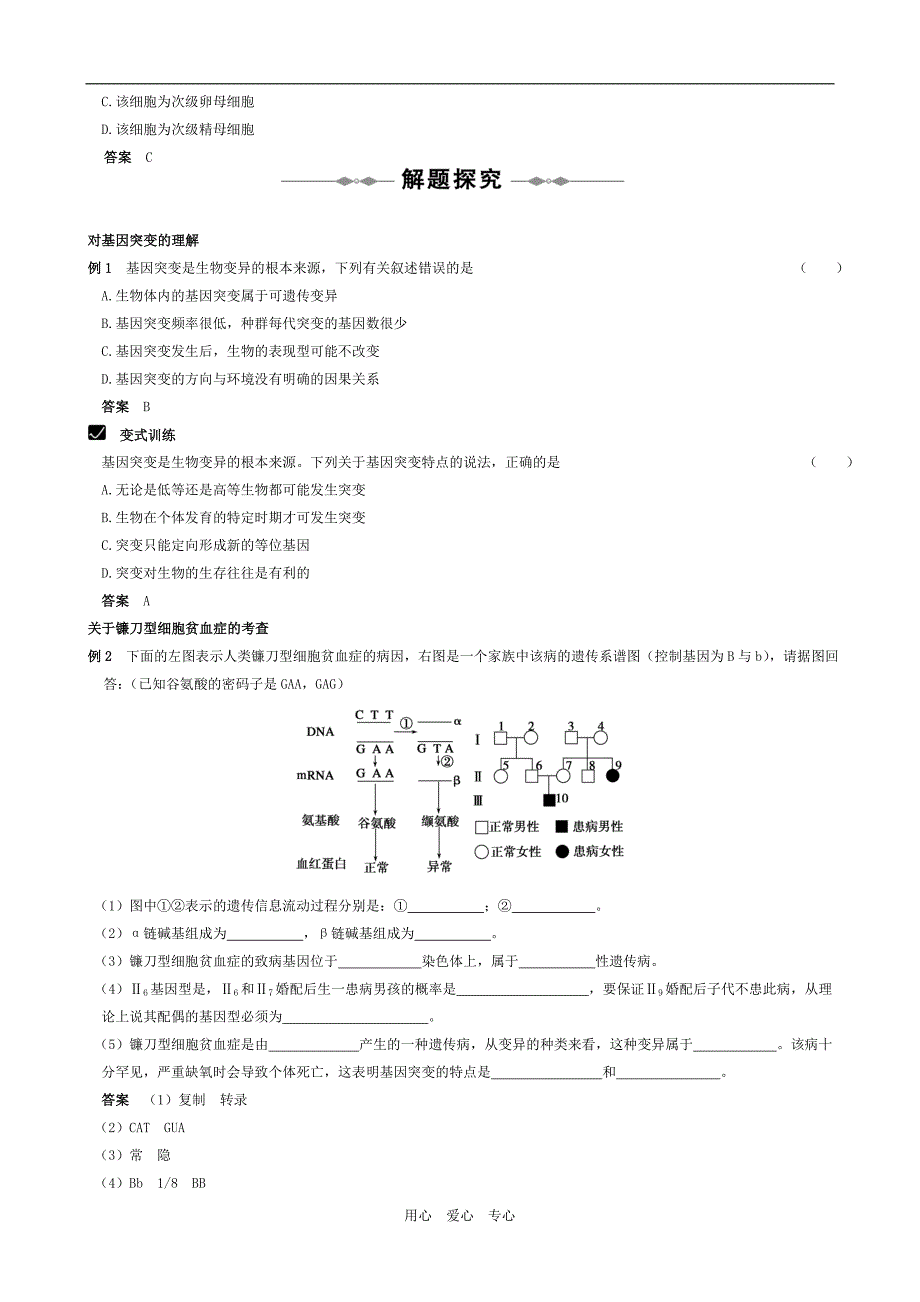 高三一轮复习生物资料：必修②第五章基因突变及其他变异.doc_第2页