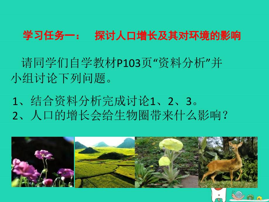 七年级生物下册4.7.1《分析人类活动对生态环境的影响》课件3鲁科版五四制_第4页