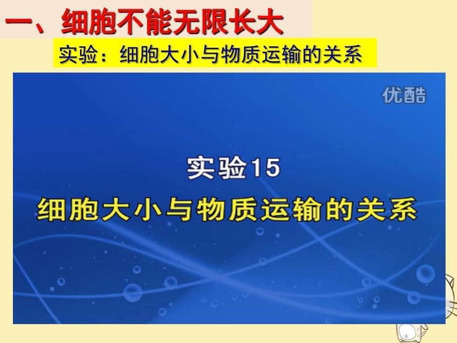 广东平远高中生物6.1细胞的增殖第1课时必修1.ppt_第5页