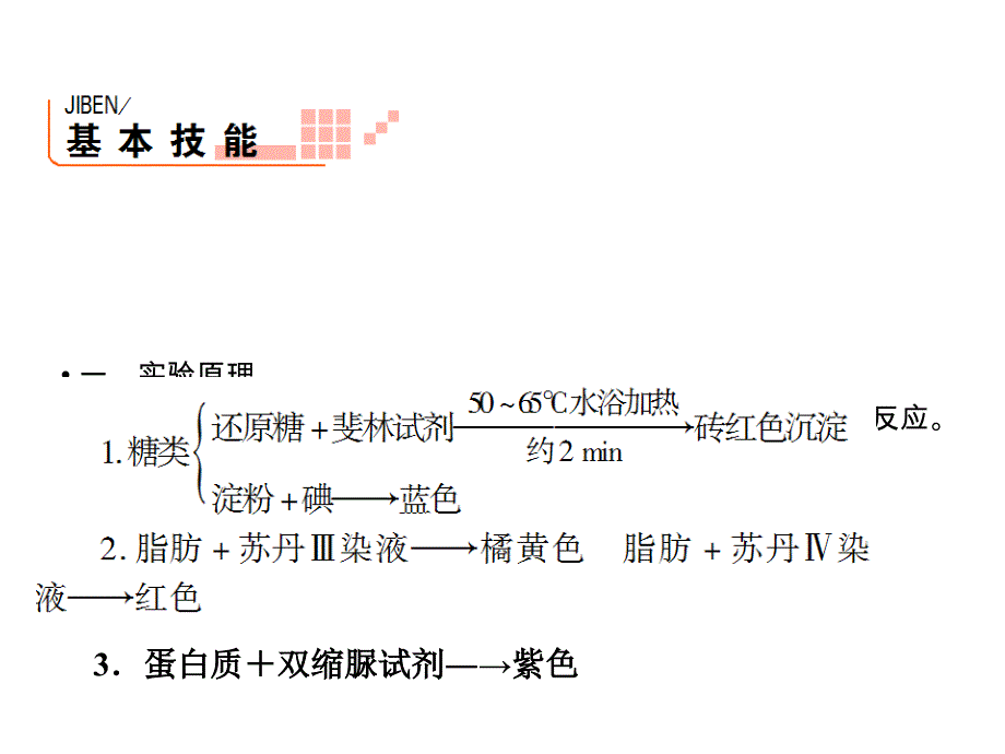 2013届高三生物实验专项突破复习课件2（四月）_第2页