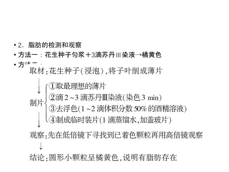 2013届高三生物实验专项突破复习课件2（四月）_第5页