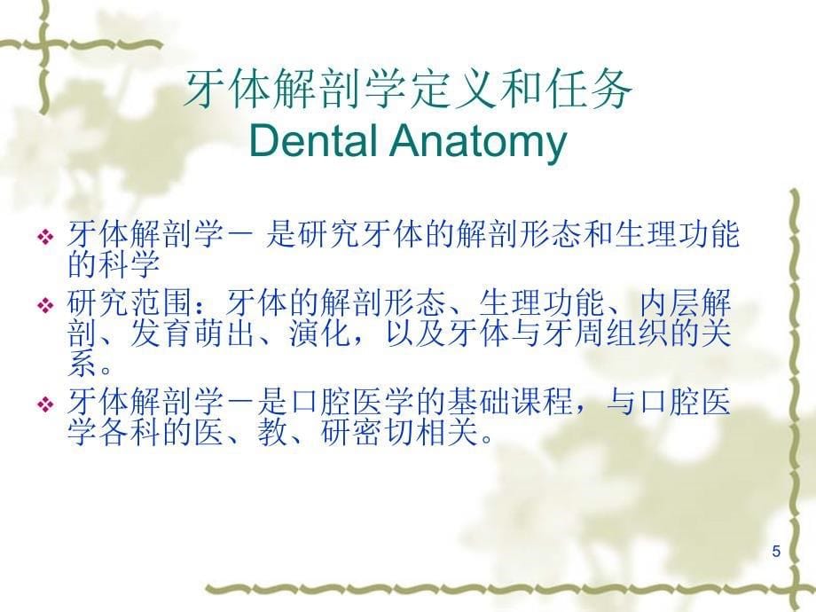 口腔生理解剖 牙体解剖PPT参考课件_第5页