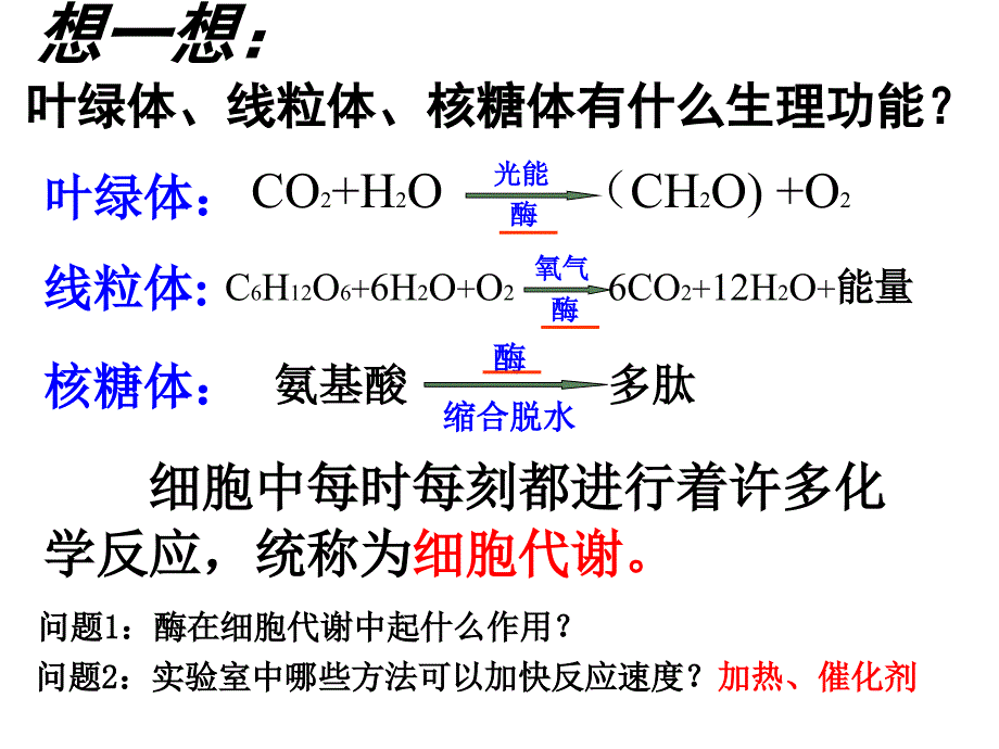 必修1 第5章 第1节降低化学反应活化能的酶（四月）_第3页