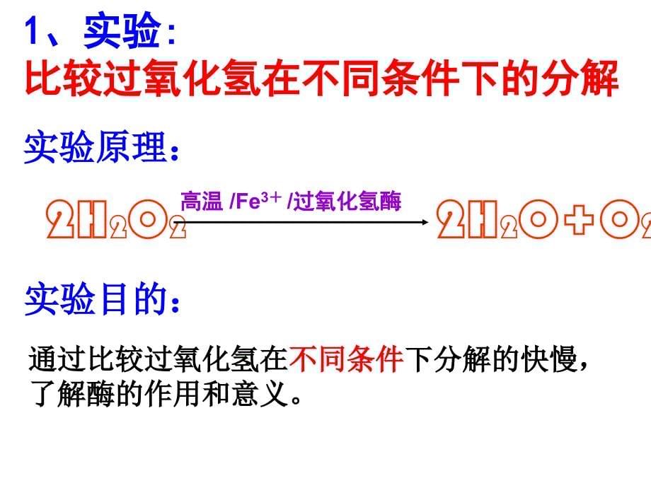 必修1 第5章 第1节降低化学反应活化能的酶（四月）_第5页