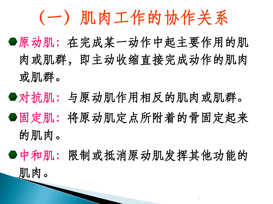 体育动作的解剖学分析ppt课件_第3页