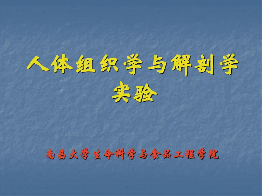 消化系统组成及各部分结构观察培训课件_第1页